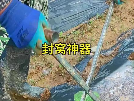 烟苗培土器 开膜松土培土多功能 使用方便不伤苗 省时省力 #烟苗培土器 #松土培土 #省时省力 #农业种植 #农民好帮手