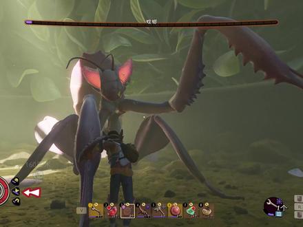 教你轻松毒打螳螂--人人有功练