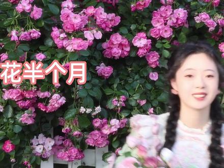 手作|自制四时花 #手作裙 #缝纫 #lo娘日常 #lolita
