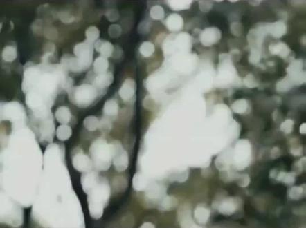 #梦境 #古风 #今日文案 #心灵疗愈#解梦
解梦,梦里出现死人不一定都是坏事,那么梦见死人是什么意思呢,快看你是哪一种。