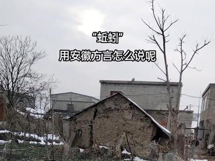 蚯蚓用安徽方言是咋说的?蚌埠话叫“queshan”。#蚯蚓#安徽方言