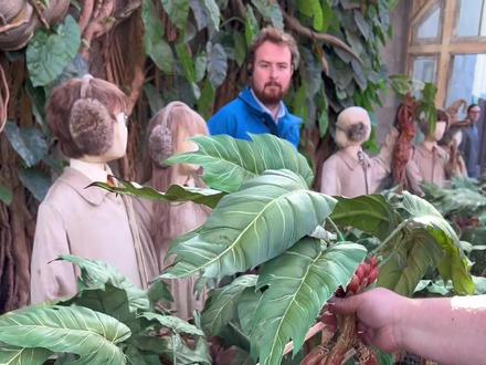 霍格沃滋植物课,学生们拔出植物后,尖叫声不断#曼德拉草 #哈利波特#霍格沃兹植物课