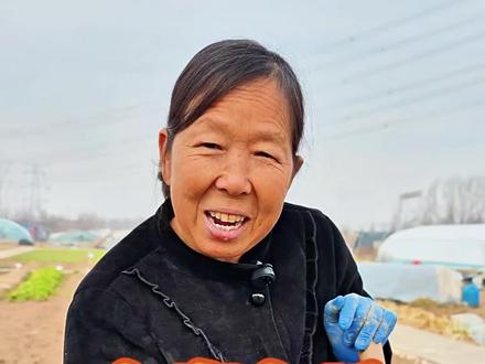 立春已过,都可以种什么菜?#三农 #蔬菜种植 #生菜杨姐 #种植小技巧 @DOU+小助手 @DOU+上热门