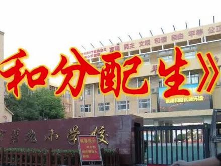 南阳普通高中招生计划中的统招生和分配生的区别和录取顺序 #中招招生政策 #中考 #分配生 #统招生和分配生