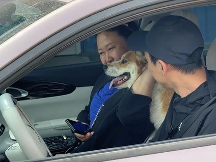 后续来啦!早上经过几经确认,沟通过后,原主人已经把狗狗领回家啦!感谢大家的关注和支持!#关注流浪动物 #救狗 #动物的迷惑行为