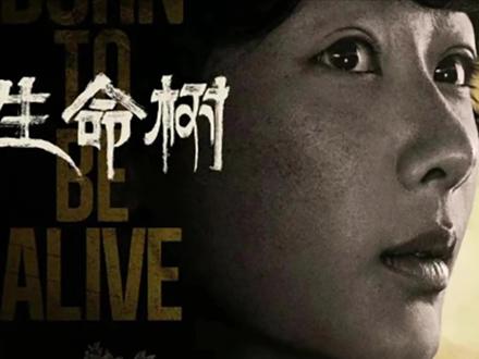 生命树12集:终极对决落幕,高原守护终得圆满@泽笙视频 #好剧推荐盗猎残余势力负隅顽抗,巡山队全员出击展开终极对决,白菊、多杰默契主导战局,邵云飞全程记录正义时刻,白及彻底完成救赎。最终盗猎团伙被全歼,高原恢复安宁,巡山队继续坚守守护初心。#生命树 #生命树杨紫 #因为一个片段看了整部剧 #我的观影报告