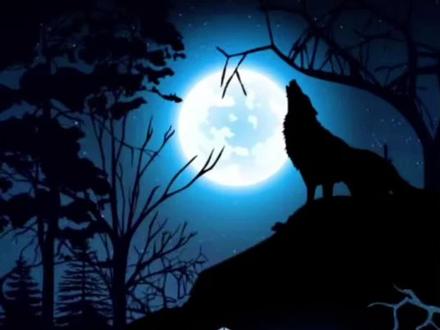 狼人杀新手教学话术篇#狼人杀 #狼人杀直播