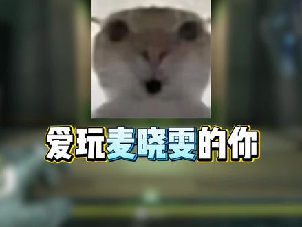 麦晓雯的五句粤语台词分别代表什么意思#三角洲行动
