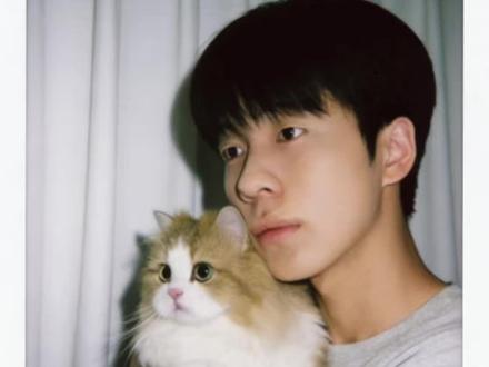 世界不能没有小猫咪 布偶猫小猫 #豆包 你还是太权威啦!#布偶猫 和自家萌宠合照 和猫猫拥抱ai合照指令教程来啦!#和宠物合照 豆包p图和猫猫合照 #豆包ai #豆包P图已经nextlevel了