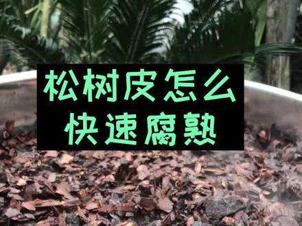 #兰花植料 制作,松树皮一定要腐熟后才能使用,高温杀菌腐熟的方式,既快速又高效,大家可以试一试哦
