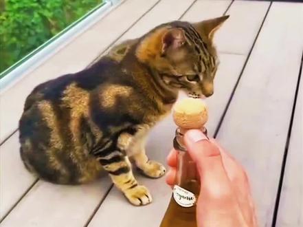 #开心 开心就是这么简单#不当人