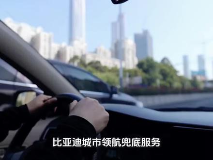 比亚迪城市领航兜底是什么 #子树说