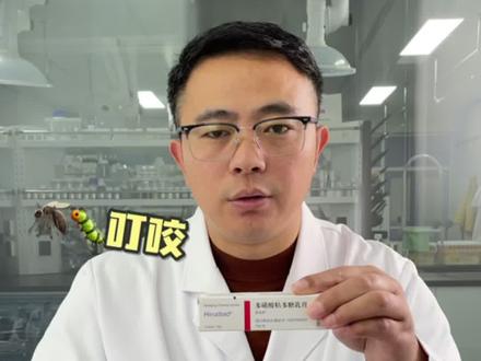 蚊虫叮咬留下黑色印子怎么办?
#护肤 #祛印 #涨知识