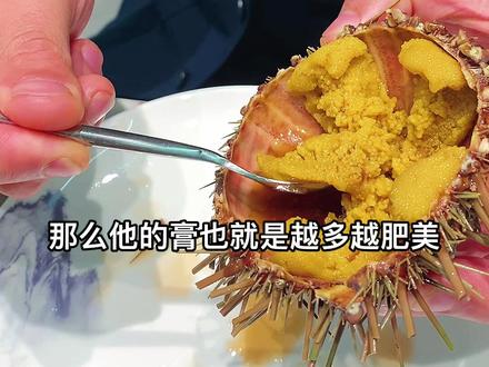 海胆的正确打开方式和正确吃法#海胆 #海鲜