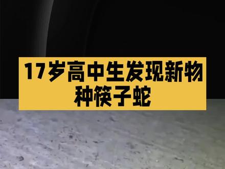 17岁男生发现新物种筷子蛇SCI发文