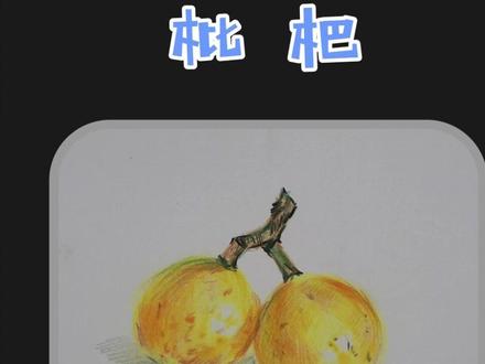 #彩铅 彩铅枇杷教程,太简单了!#绘画教程 #教你学画画 #万州雅韵美术 #同城 @DOU+小助手