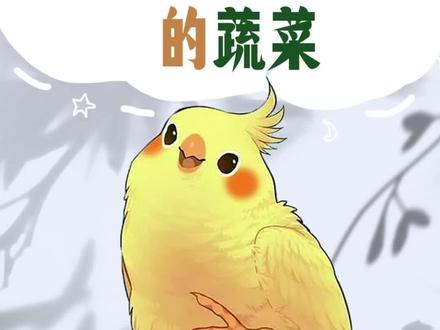 蔬菜喂这些#鹦鹉 #鹦鹉鹦鹉萌萌哒逗鹦鹉 #神奇动物在抖音 #手养鸟