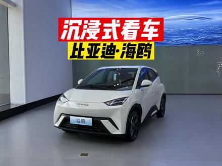 2023款比亚迪海鸥 飞翔版#比亚迪海鸥 #高航试车 #上抖音看新车