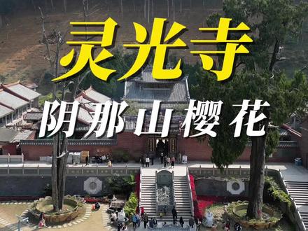 为数不多既能赏花还能许愿的地方
#灵光寺 #阴那山樱花