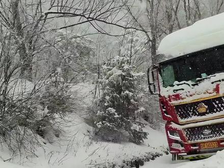 S219秦岭最新路况 雪天路滑,过往车辆请务必小心,保持距离,安全驾驶!2026年3月14日13时,S219省道秦岭梁路段。大雪纷飞,路面积雪严重,大型车辆禁止通行,小型车辆需佩戴防滑链条,听从现场交警指挥,保持安全车距,减速慢行。高速正常通行。建议广大司机朋友绕行高速通行。#秦岭路况 #谨慎驾驶 #开车注意安全 #路面结冰 #雪天路滑注意安全 @抖音热点 @DOU+上热门 @同城热点发现 @同城上热门 @凤县文化旅游 @凤县融媒体中心 @DOU+小助手 @宝鸡文旅