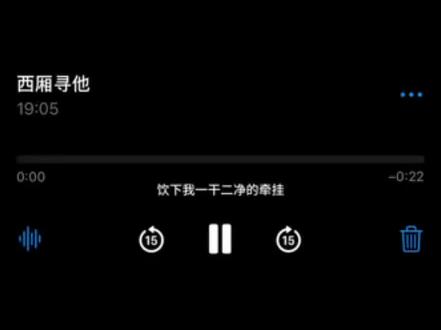 大梦催白发 昨夜又见他窈窈的风华