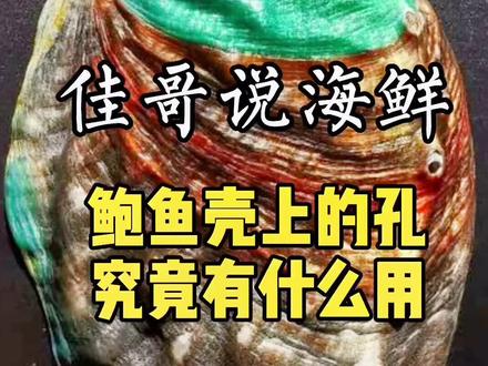 我敢说看了这期视频你还是不知道鲍鱼有多少个孔#神奇动物在抖音 #鲍鱼 #冷知识 #抖音美食