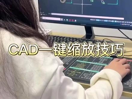 CAD一键缩放技巧 #CAD