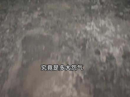 究竟是多大怨气要水泥封棺,青海女老师
