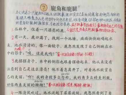 三年级语文下册《会摇尾巴的狼》视频讲解完整版。成人课堂。26年春季新教材,改版后最新版。#预习#复习#教师备课#小学语文