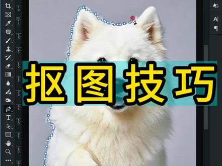 小白必学 5 种万能抠图法,毛发大树都能抠#PS抠图教程 #PS新手教程 #抠图技巧 #办公技巧 #PS小技巧
