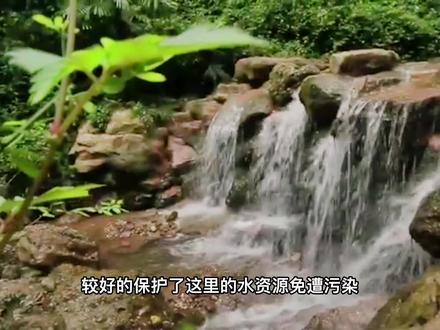 成都郊区发现三眼水怪!成相怪异成群出没,疯狂袭击当地村民,已活了3.5亿年。#热点小助手#西瓜视频 #最闪亮的坐标 #上热门 #热点小助手 #今日头条 #包子说奇闻 #孤 #上海本土疫情425 #科普 #山间小溪 #动物世界 #奇闻奇事 #大自然 #追寻你 #原创剪辑