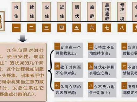 又被限制?禅定“九住心”修定的层次#海豚知道 #冥想 #打坐 #觉醒开悟 #相信科学拒绝迷信