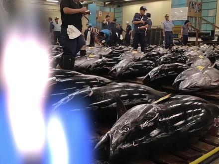 抓准日本软肋,中国停进日水产