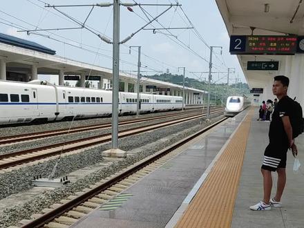 D8366,百色-北海,田东北站