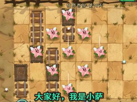 Pvz2植物测评 为什么天使星星果一定要升5阶?