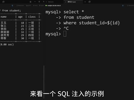 增强sql安全意识-sql注入示例 #sql#sql语句#数据库 #编程学习 #程序员