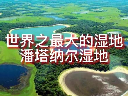 世界之最大的湿地:潘塔纳尔湿地 #世界之最 #潘塔纳尔湿地 #科普知识 #生态环境 #地理知识