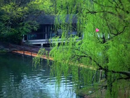 花小斩伤感情歌《奈何桥上诉情殇》动听伤感,歌词走心,催人泪下