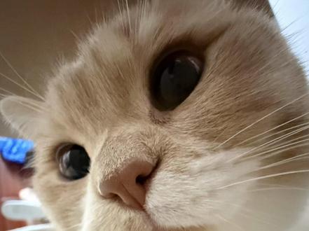 哔哔哔哔哔哔哔哔拉布
#我的刀盾