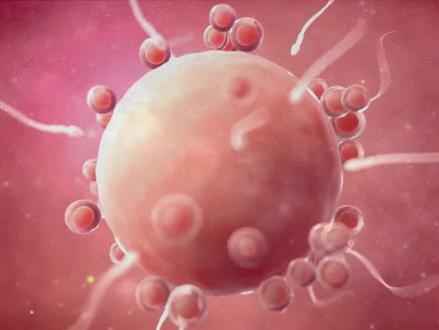 孕一月吃什么对胎儿好,孕一月要注意什么 #孕一月 #孕早期 #孕期注意事项 #孕期饮食 #一个身体两个心跳