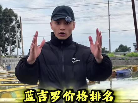 蓝吉罗价格排名#蓝吉罗 #蓝吉罗鱼苗 #观赏鱼 #特种鱼苗
