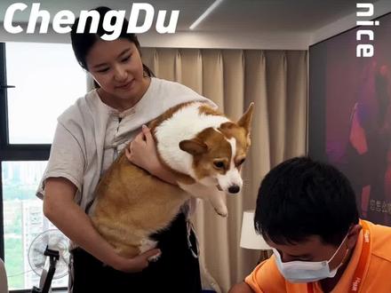 用闪修侠修手机,真的太放心了!#闪修侠#维修手机#修手机 定位里面有团!冲