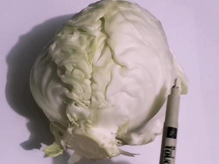 和爸爸比赛画包菜,你知道我画的是什么样的吗?#简笔画包菜#儿童简笔画 #简笔画 #绘画教程 #创意简笔画 #每日一画 #画画 #儿童画