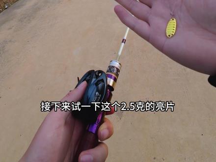 米歇尔极狐mini2DC小饵抛投体验测试分享 #猪头煮不烂 #路亚 #钓鱼 #米歇尔极狐