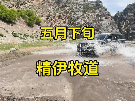 5月中下旬的:精伊牧道,到了它最美的季节丨附导航~线路