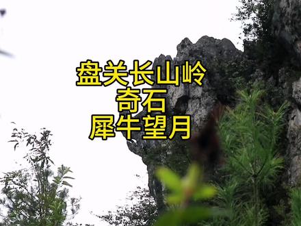 盘关长山岭这里的奇石景,犀牛望月,你知道在哪里吗? #喀斯特地貌 #大自然鬼斧神工 #原始森林 #龙脊 #盘山公路 #自然奇观