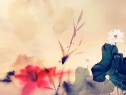 #生活感悟 人过60,一定要正确的活…