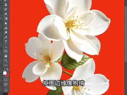 抠图后有白边锯齿,PS教你30秒无痕去除合集! PS去除白边锯齿合集,#PS去除白边 #PS #广告设计 #P图教程 #设计干货