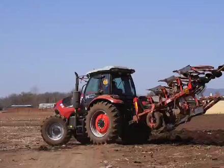 #三农 #抖音助农 #农业 大型反转犁作业现场看看这个费机器吗?