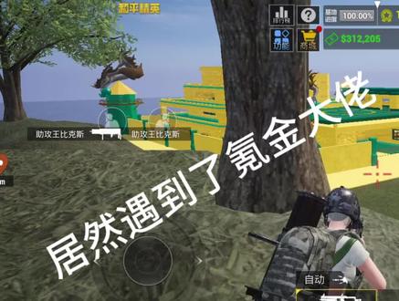 战争大亨 和平精英战争大亨